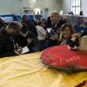 Gatti in mostra. Foto dalla Esposizione Internazionale Felina ANFI FIFe di Padova 7 gennaio 2017