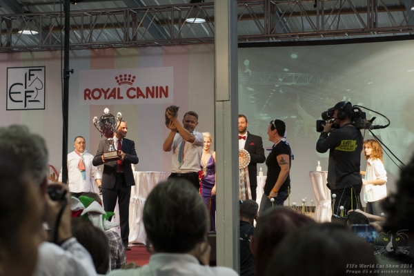 World Cat Show FIFe Praga Republica Ceca domenica 26 ottobre 2014