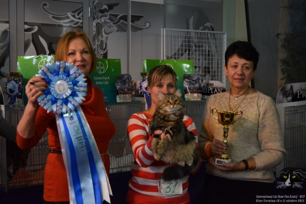 10 e 11 ottobre 2015 Esposizione Internazionale Felina Pan Kockij WCF Kiev Ucraina