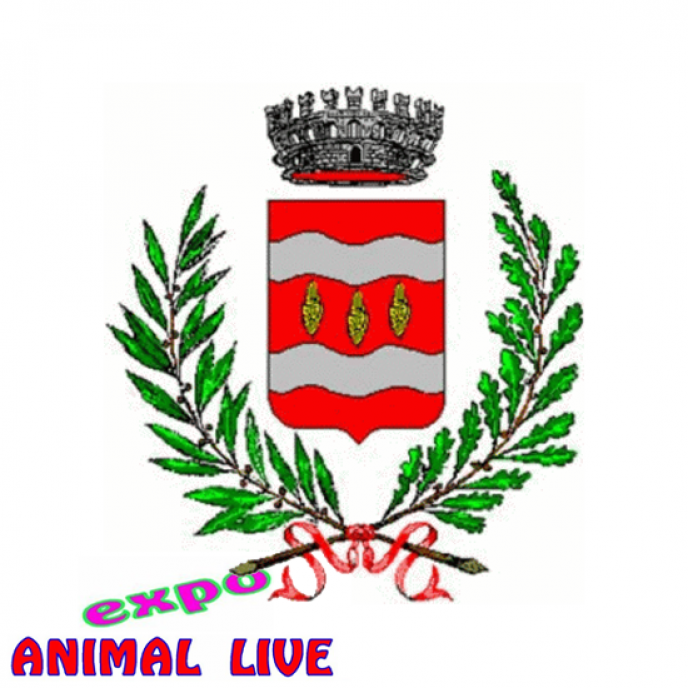 14 settembre 2014 Animal Live San Martino Siccomario