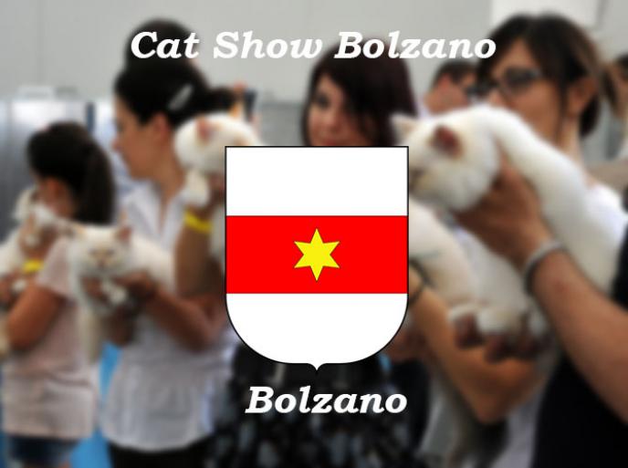 7 e 8 maggio 2016 Cat Show di Bolzano 