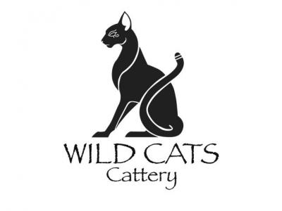 Wild Cats Cattery (SIROUALBA)