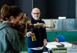14 - 15 gennaio 2023 Mostra Interazionale Felina ANFI FIFe di Ferrara (sabato)