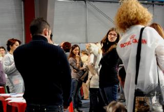 24 e 25 novembre 2012 Esposizione Internazionale Felina ANFI – FIFe a Mantova.