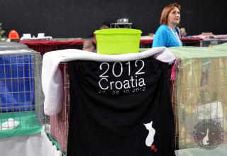 Foto da World Cat Show 2012 Zagabria Croazia - secondo giorno