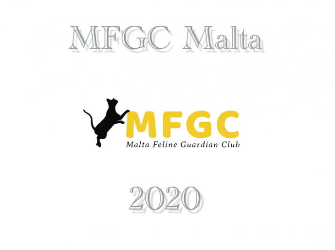 Calendario expo 2020 MFGC - WCF Malta