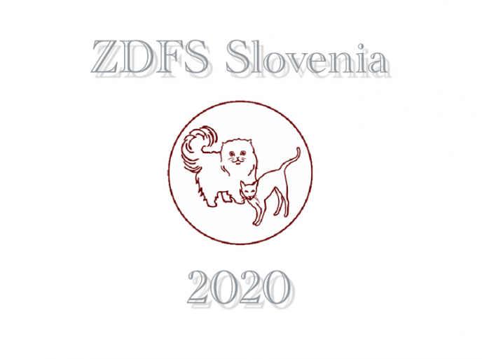 Calendario expo 2020 ZFDS FIFe Slovenia