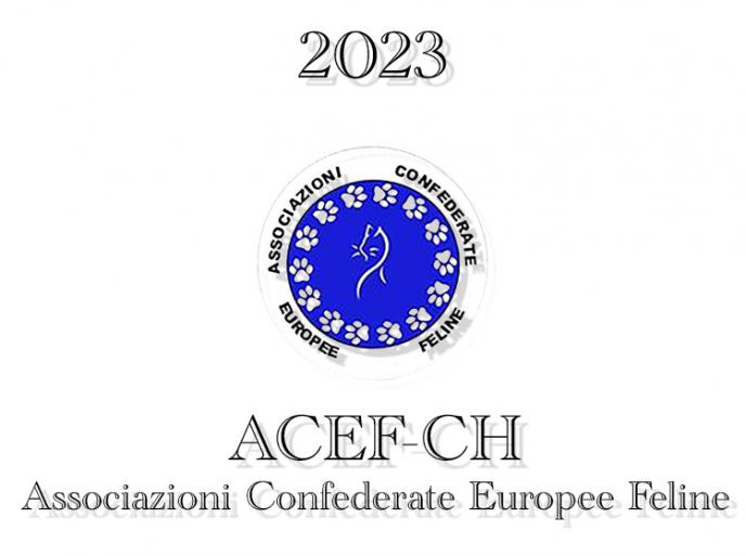 Esposizioni Feline 2023 ACEF WCF Svizzera
