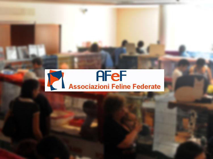 Calendario expo 2016 - AFeF -WCF - Italia