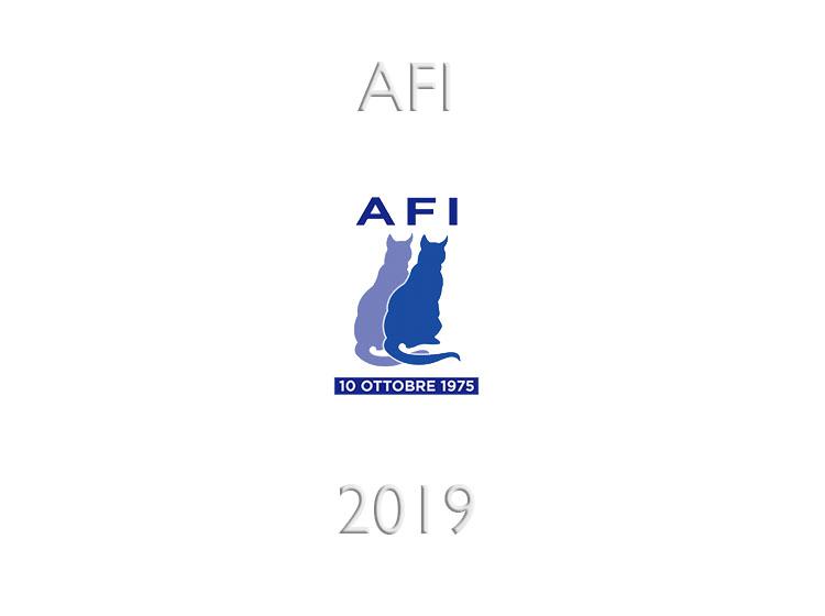 Calendario expo 2019 AFI - WCF Italia
