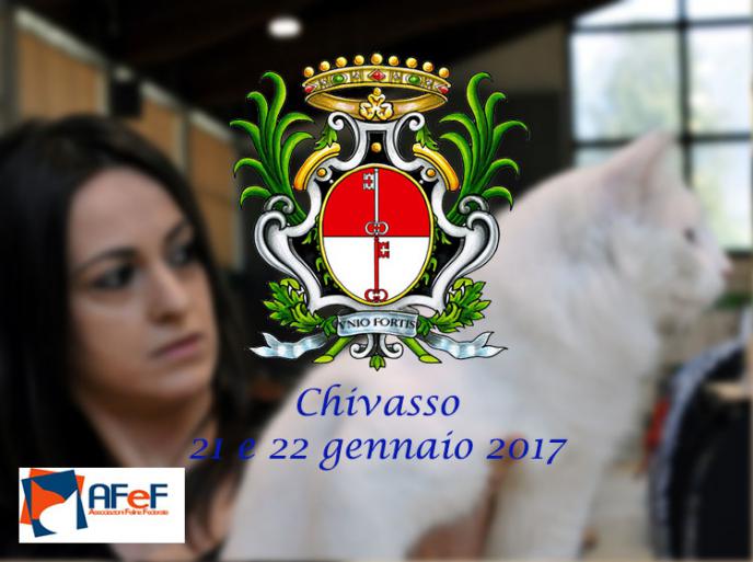 21 e 22 gennaio 2017 Esposizione Internazionale Felina AFeF – WCF di Chivasso