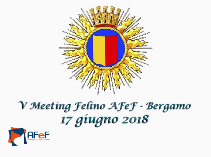 17 giugno 2018 Meeting Felino AFeF Bergamo