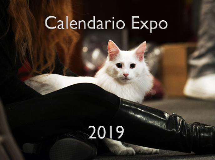 Esposizioni feline in Italia 2019