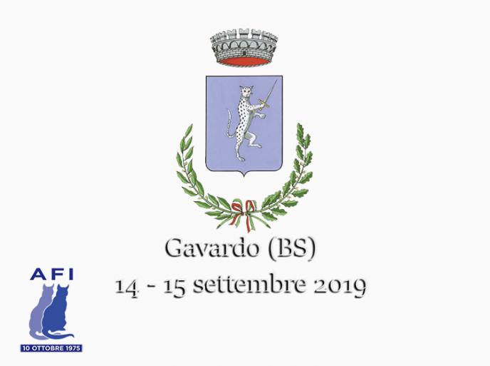 14 e 15 settembre 2019 Esposizione Internazionale Felina AFI - WCF di Gavardo (Bs)