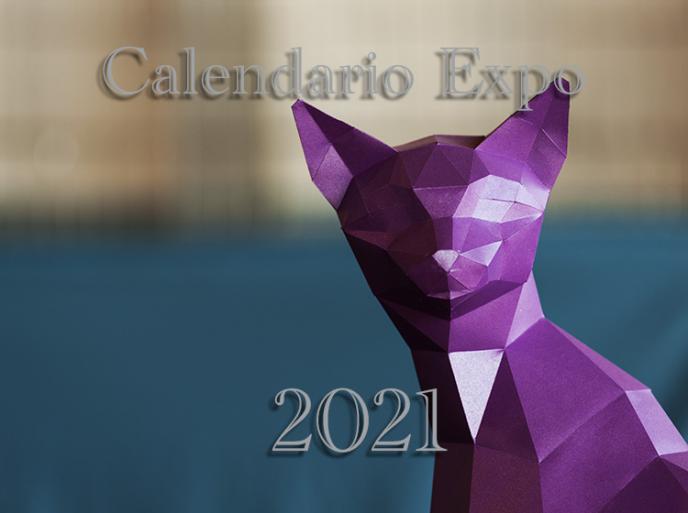 Esposizioni feline in Italia 2021