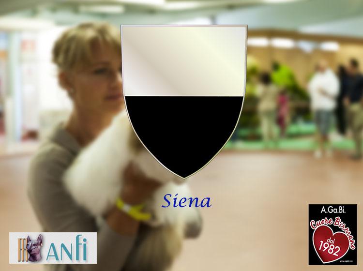 17 e 18 settembre 2016 Esposizione Internazionale Felina ANFI – FIFe di Siena