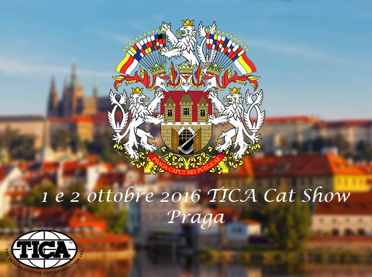 1 e 2 ottobre 2016 TICA Cat Show Praga