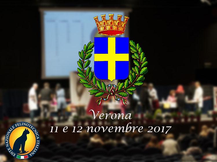 11 e 12 novembre 2017 Esposizione Felina ENFI di Verona