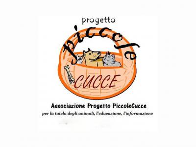 Progetto Piccole Cucce Lucca