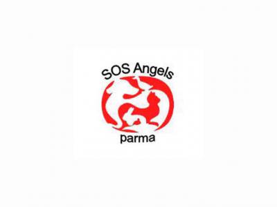 SOS Angels Amico Gatto Onlus Parma
