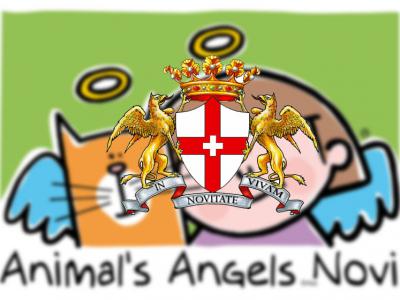 Animal's Angels Novi
