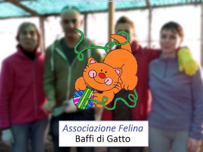 Associazione Felina Baffi di Gatto Calenzano