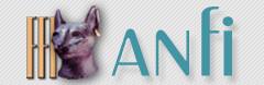 ANFI logo