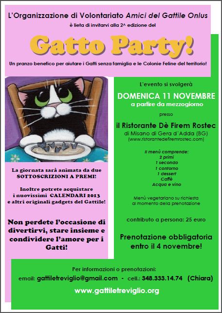Volantino Gatto Party