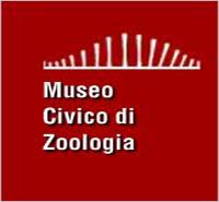 Museo Civico di Zoologia Roma