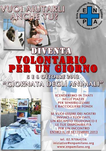 locandina Volontario per un giorno Milano 2013