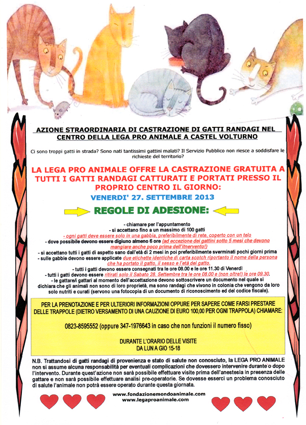 Spay Day 27 settembre 2013