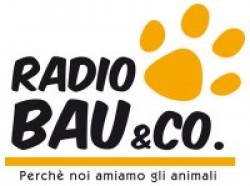 Radio Bau
