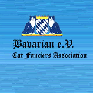 Bavarian e.V.® Cat Fanciers Association