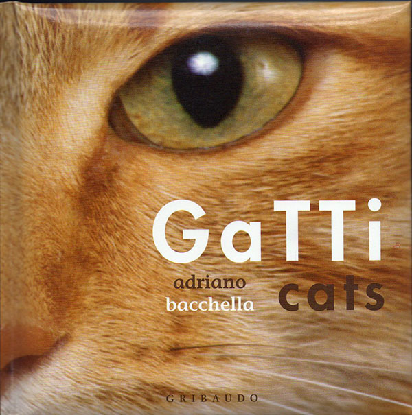 Gatti-Cats - Adriano Bacchella