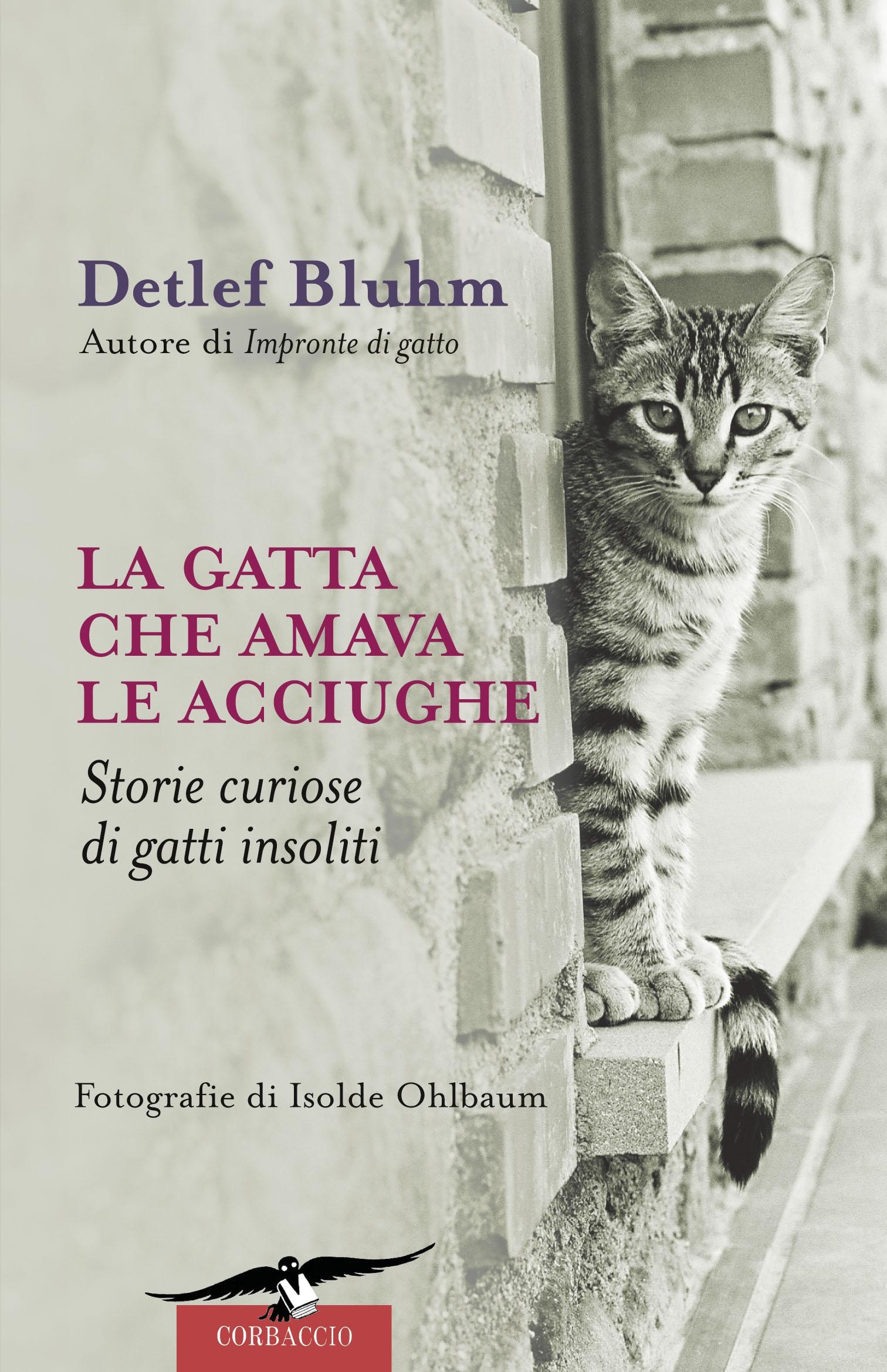 La gatta che amava le acciughe. Storie curiose di gatti insoliti - Detlef Blum