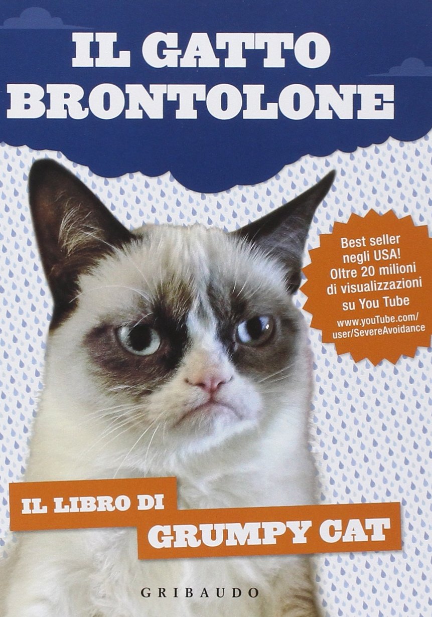 Il gatto Brontolone. Il libro di Grumpy Cat - aa.vv.