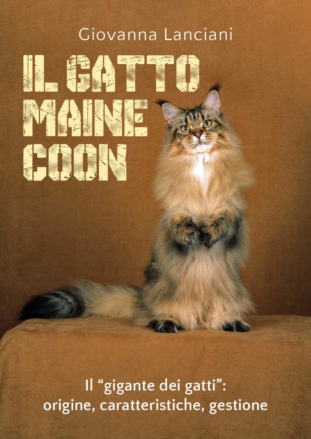 Il gatto Maine Coon - Giovanna Lanciani