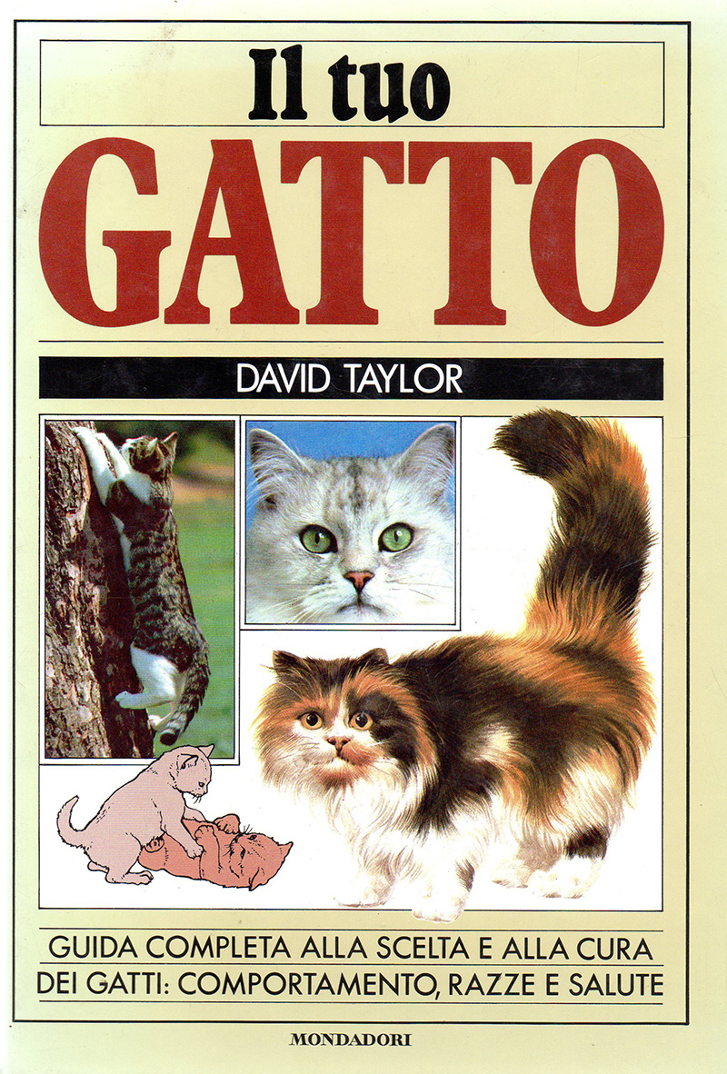 Il Tuo Gatto - David Taylor