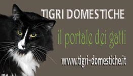 Il portale dei gatti - Tigri Domestiche - www.tigri-domestiche.info