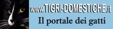 Il portale dei gatti - Tigri Domestiche - www.tigri-domestiche.info