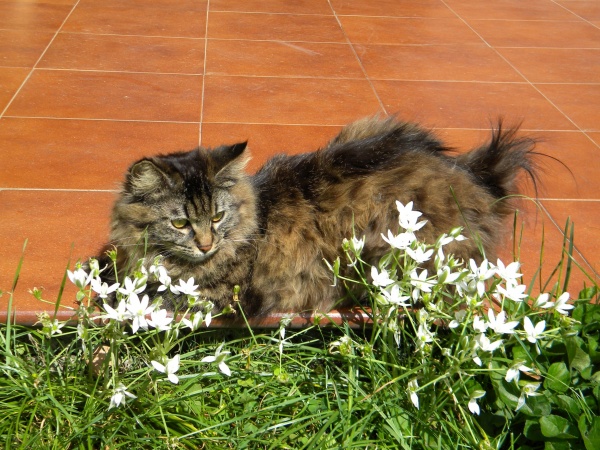 Sasha:relax tra i fiori a Pasqua...