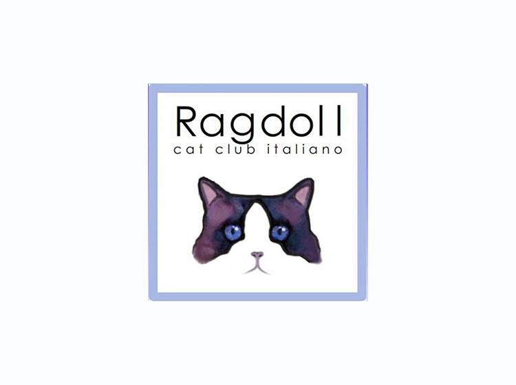 Ragdoll Cat Club
