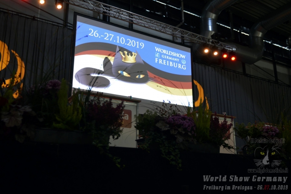 World Show 2019 Foto World Cat Show Freiburg im Breisgau Germany