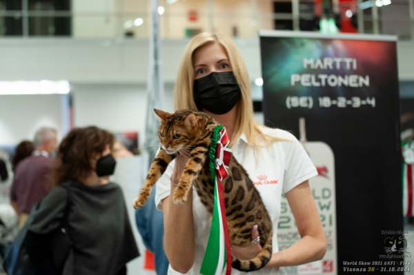 30 ottobre 2021 - sabato - World Show 2021 Foto World Cat Show ANFI - FIFe Vicenza Italy