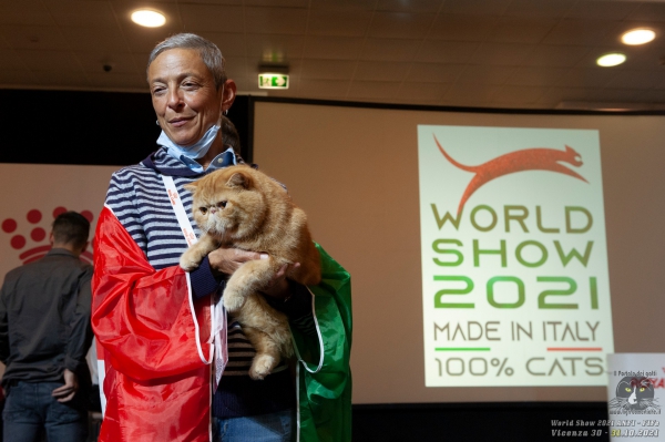 31 ottobre 2021 - domenica - Gran Finale - World Show 2021 Foto World Cat Show ANFI - FIFe Vicenza Italy