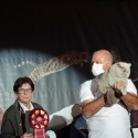 30-31 ottobre 2021 - le foto restanti - World Show 2021 Foto World Cat Show ANFI - FIFe Vicenza Italy