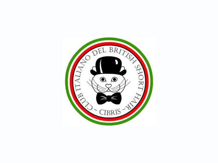 CIBRIS - Club Italiano Del British Shorthair