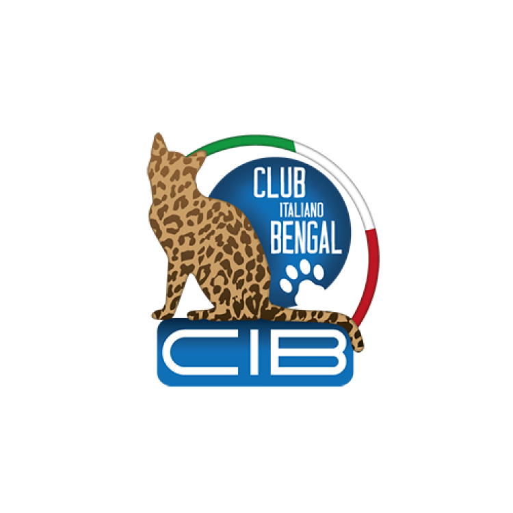 CIB - Club Italiano Bengal
