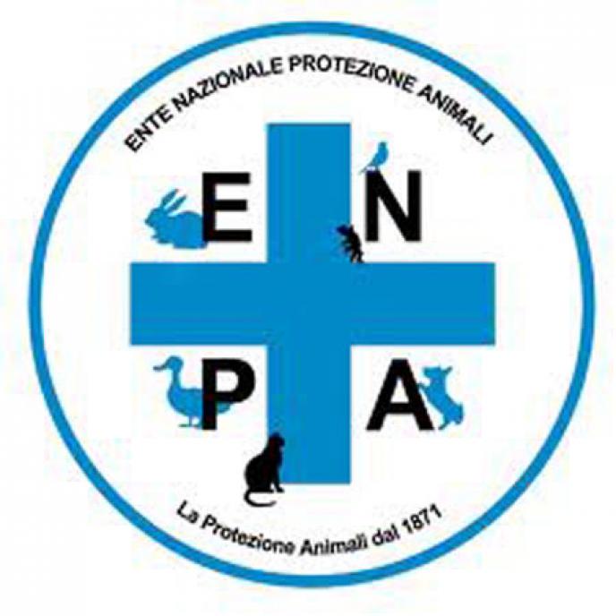 Terremoto in Emilia Romagna - grande lavoro del'ENPA