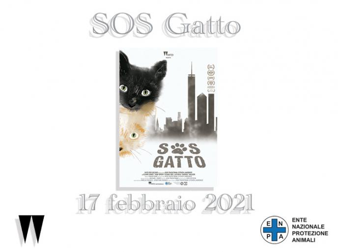 17 febbraio 2021 - The Cat Rescuers il film sul salvataggio dei gatti di strada